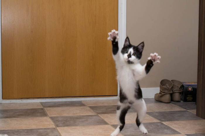 This made me laugh. картинка пятница и йогурт. Afro ninja 360 nsfw. день сурка фильм 2020. Afro ninja 360 arts.